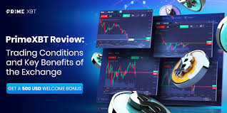 Exploring the PrimeXBT Platform A Comprehensive Guide to Cryptocurrency Trading Exploring the PrimeXBT Platform A Comprehensive Guide to Cryptocurrency Trading