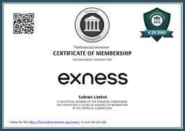 Comprehensive Exness Review A Look into Features, Pros, and Cons