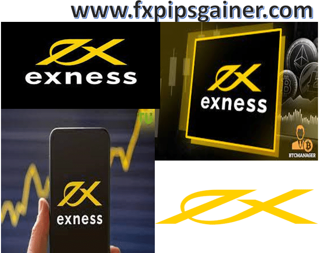 Understanding Exness Algeria A Comprehensive Trading Platform